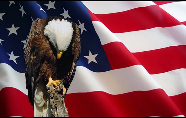 LayneThome's tweet image. Remembering those who served! Thank you!