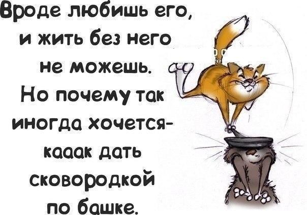 Прикольные картинки при ссоре