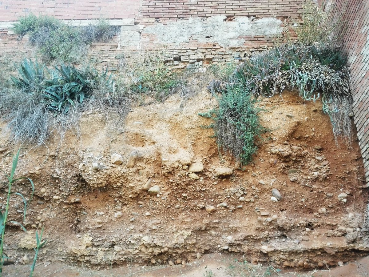 regcantabrorum's tweet photo. En busca del pasado romano de @ajterrassa #Egara #Vallparadis https://t.co/exPKJxLxEE