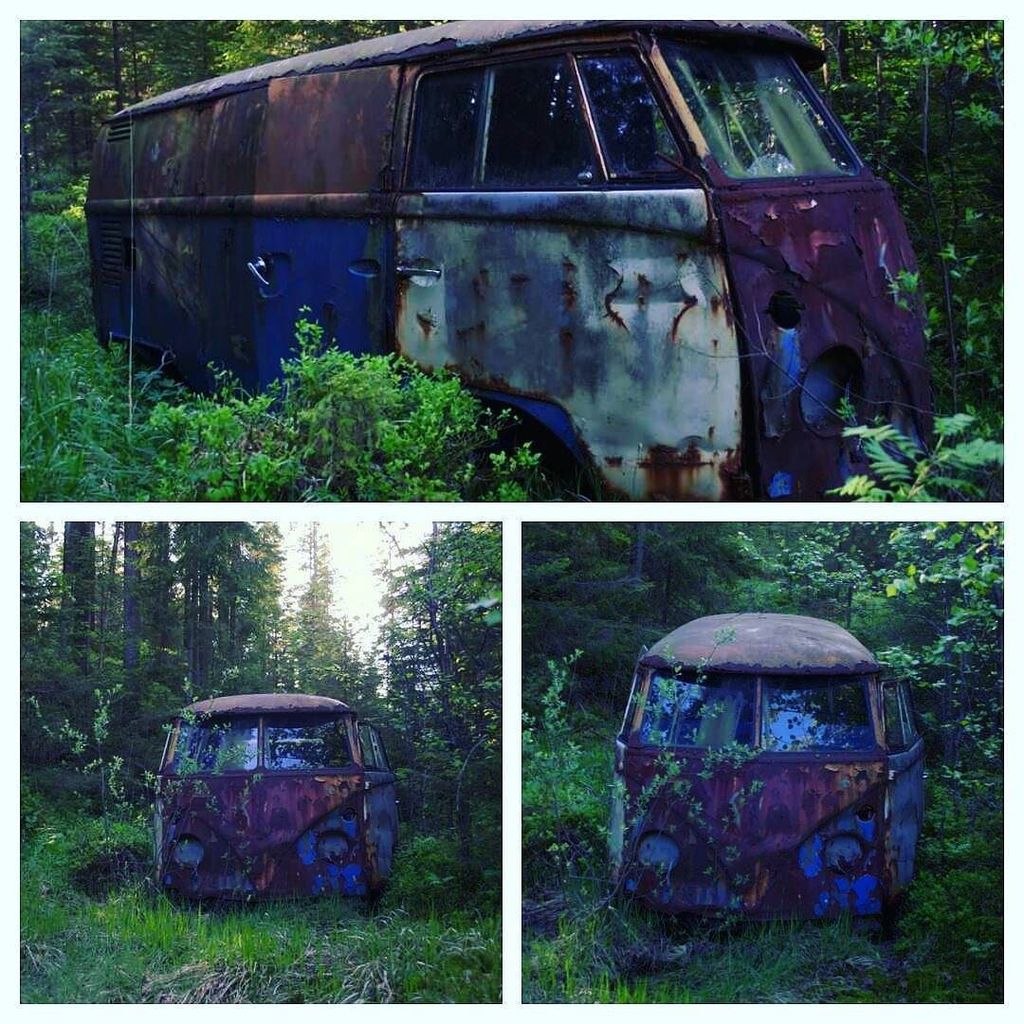 Art from the norwegian forest :) #vdub #vw4life #aircooled #aircooledvw #vwwestfalia #classic #volkswagen #lovevw #…