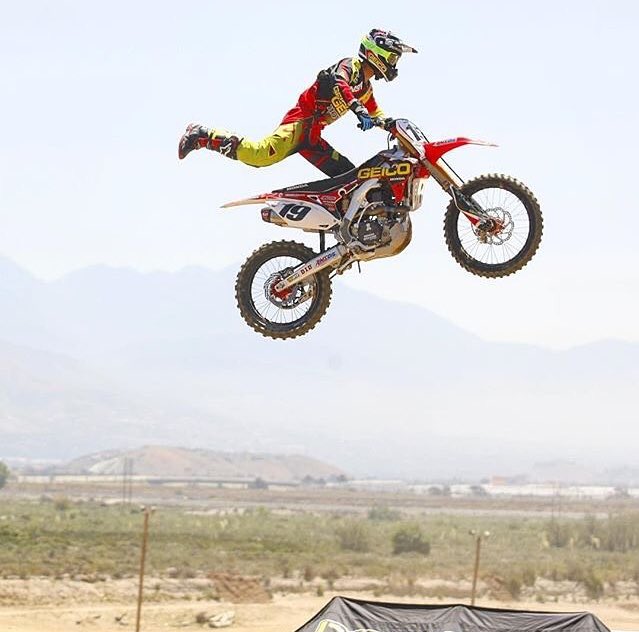 mxpics's tweet image. Bogle