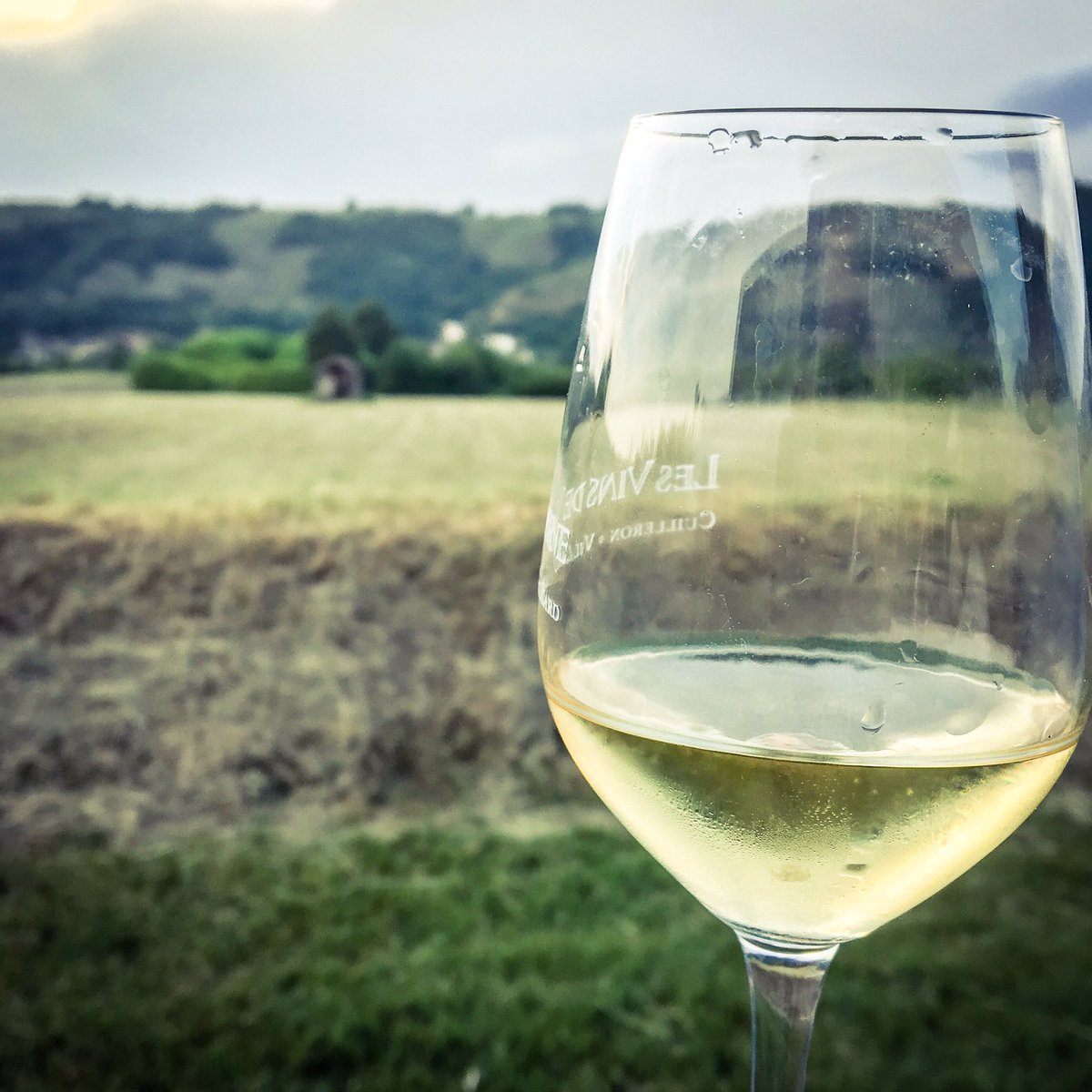 CantineCollec's tweet photo. C'est parti pour les #VinsDeVienne ! https://t.co/8EgN84Mahz