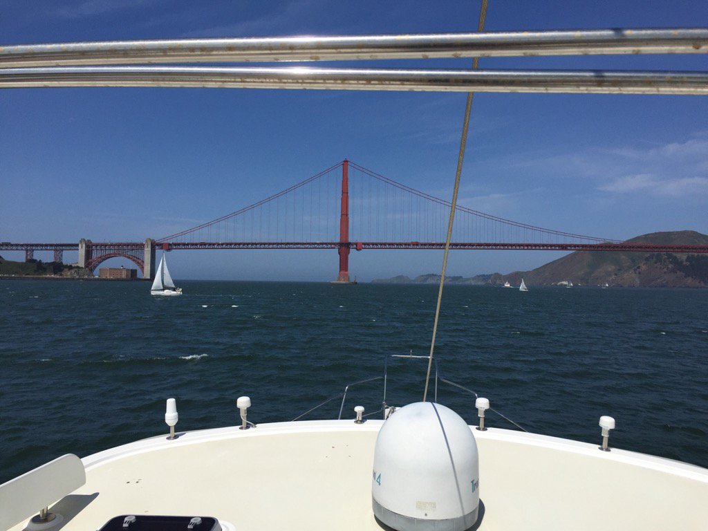 Albert Mitchell tweet media