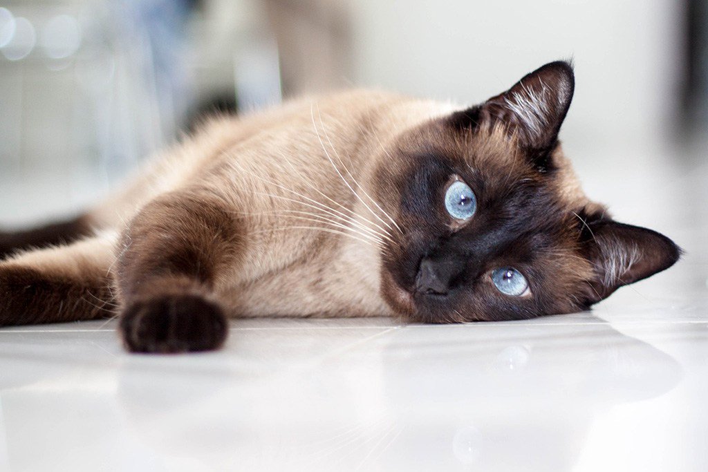 KosmonautinBlog's tweet image. Ende der Pause kosmonautin.net/2016/05/ende-d…