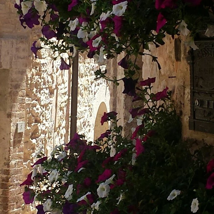 FlowerSpello tweet media