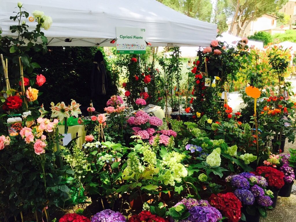 FlowerSpello tweet media