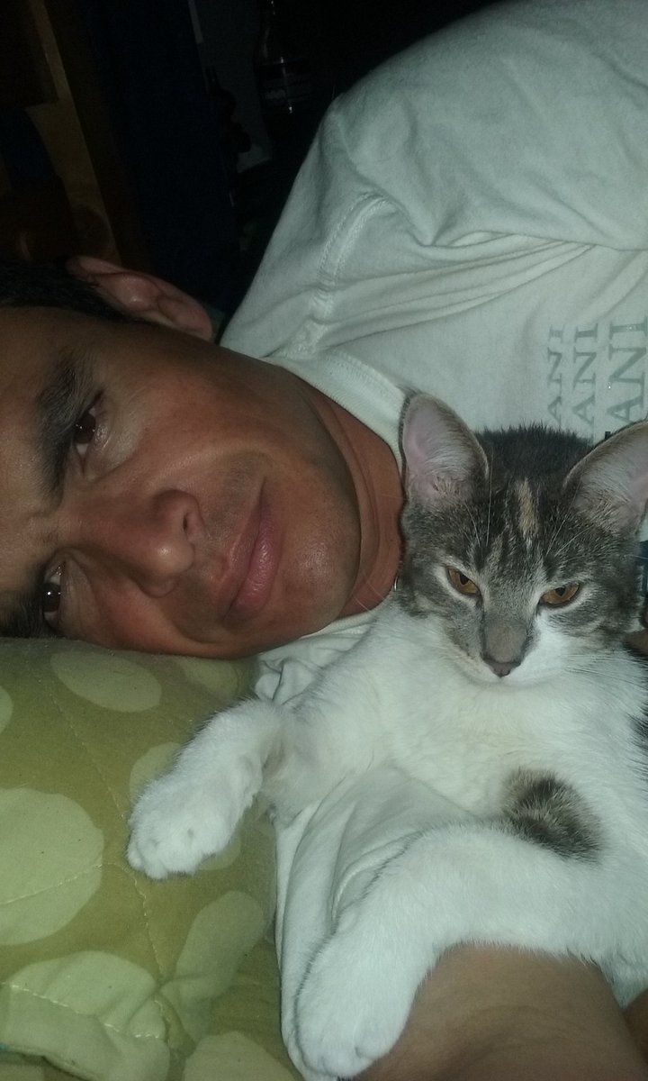 Sonoman76's tweet photo. Aquí está la que no me deja levantar jejejejeje #CindyLu #Felinos https://t.co/k4xfGgPOSx