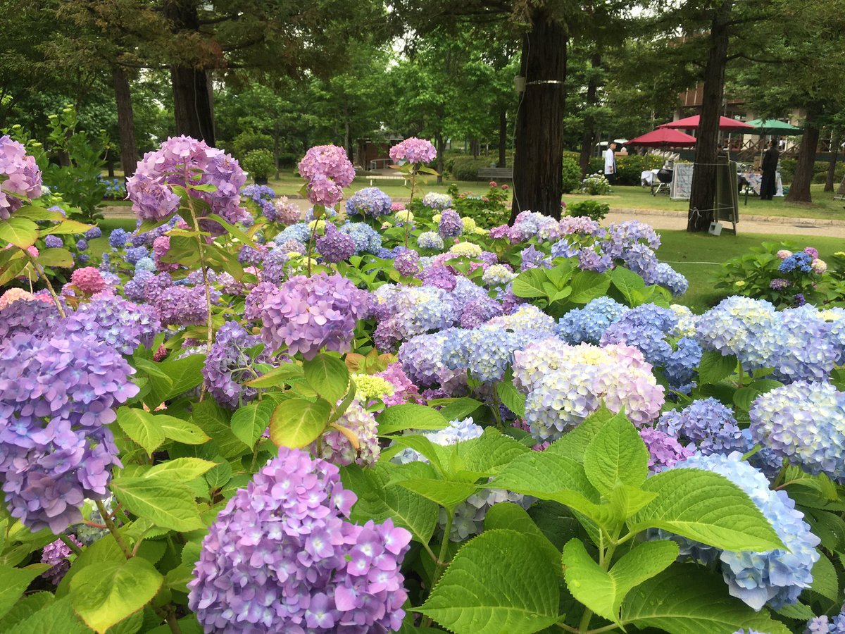 assam_h's tweet image. 大阪の海辺がきれい☆