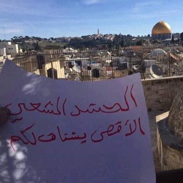 اللهم انصرهم بنصرك يا رب العالمين