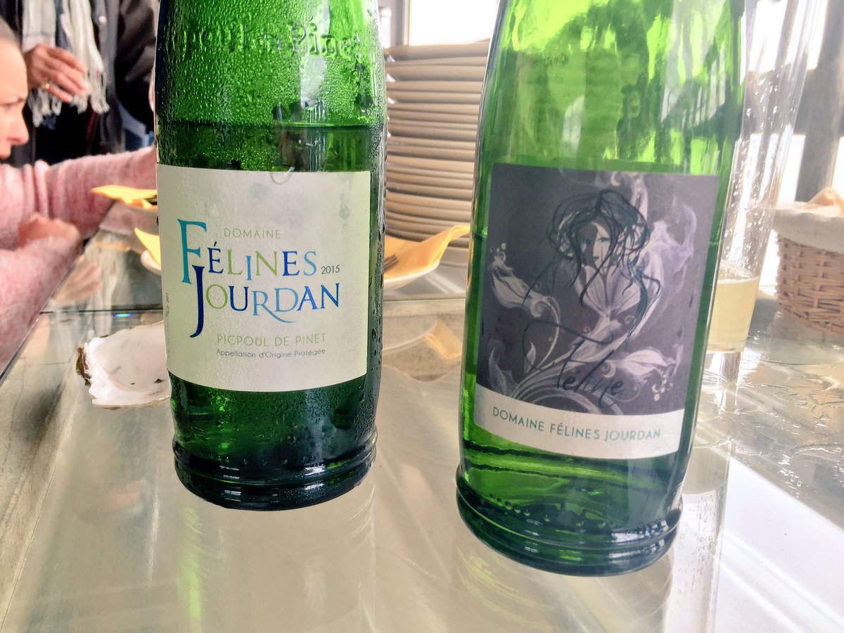 VickyWine's tweet photo. Vive la légèreté iodée et acidulée des @picpouldepinet - ❤️ les Félines des Jourdan #vinocamp https://t.co/KFCKWMcZXG