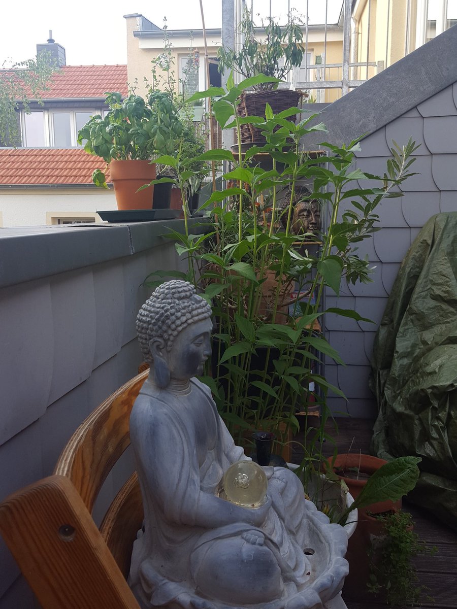 rocket_man251's tweet image. In quite at home.....