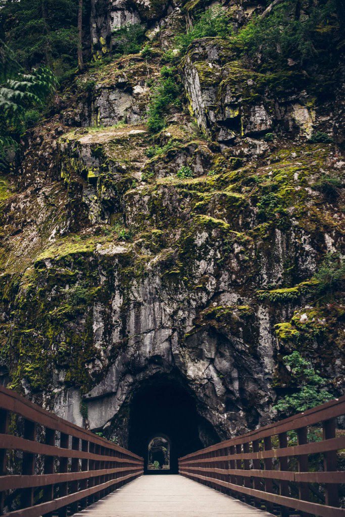 Dani Louise Photography tweet media