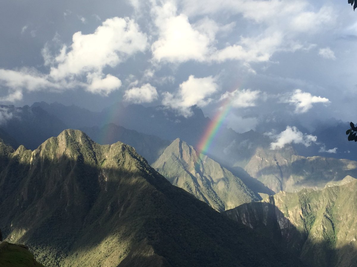 Rachel S tweet media