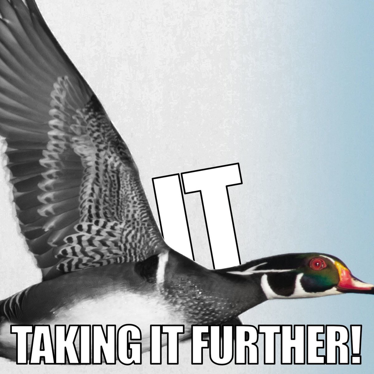 RabbitGrayscale's tweet image. Let&apos;s figure this out.
Everything should be as good as possible!
Nothing less.
Nothing else.
buff.ly/1TLgU0S