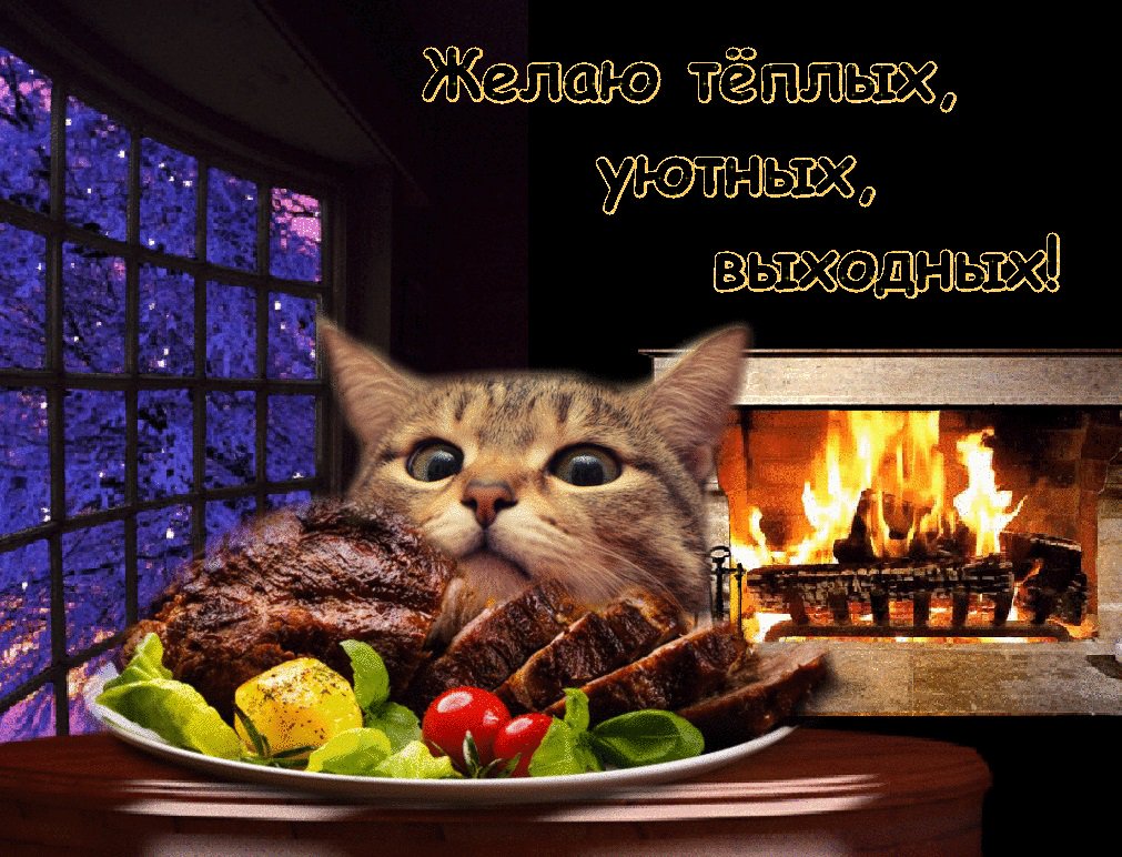 Уютного вечера смешные картинки, днем