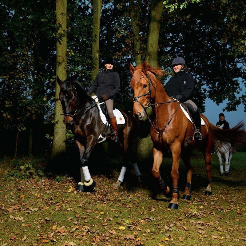 BedgeburyEc's tweet image. Livery Spaces Available Come And View Our Fantastic Facilities And Outstanding Hacking Also Meet Our New Team.