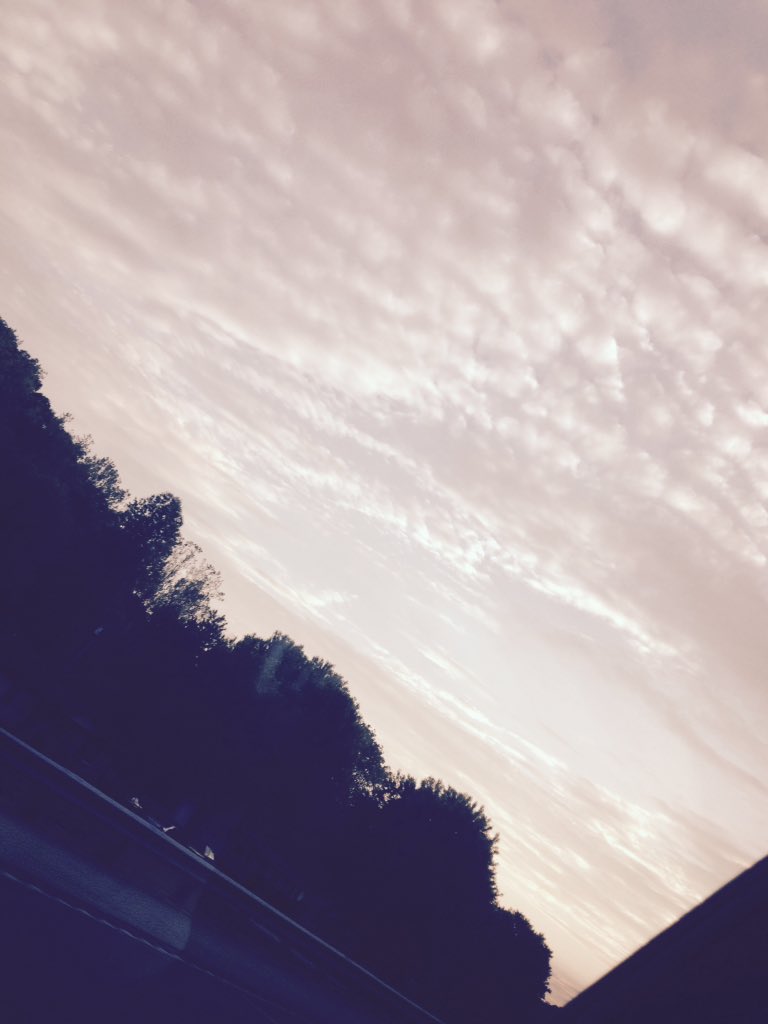 Cheyene Greene (@cheybunny18) on Twitter photo 