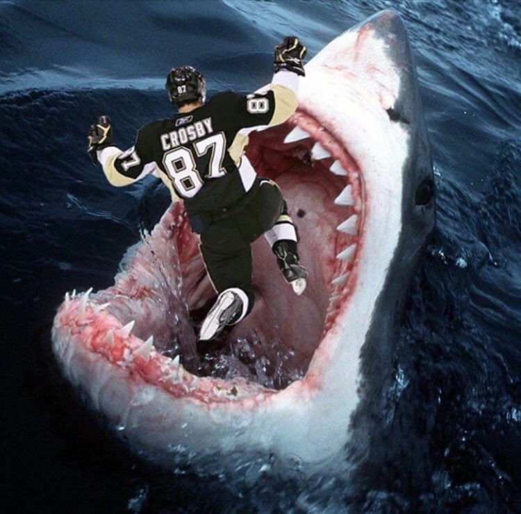 raudelwilson's tweet photo. Another day closer to the start of the Stanley Cup Final. Let's Go Sharks!!! #SJSharks #BeatThePens #StanleyCupFinal https://t.co/InExcSwt7F