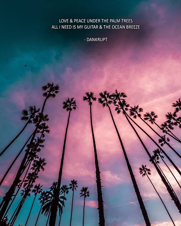 DankruptMusic's tweet photo. Love &amp; Peace under the palm trees. All I need is my guitar &amp; the ocean breeze. #Dankrupt https://t.co/vduKrFKENB