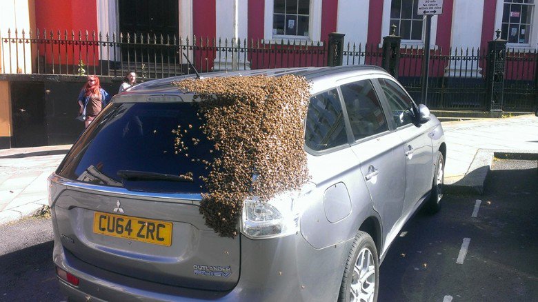 swarm queen unblocked swarm queen unblocked