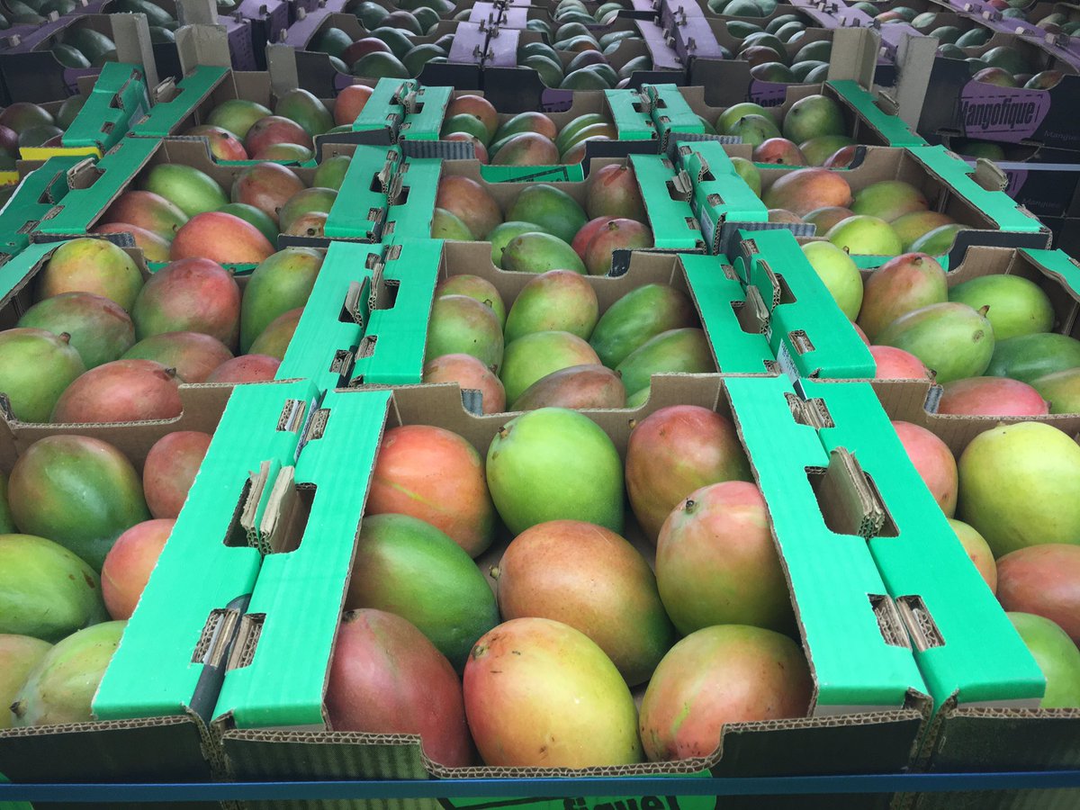 #mango arriving in the #UK, look at that #blush on the #Keitt!