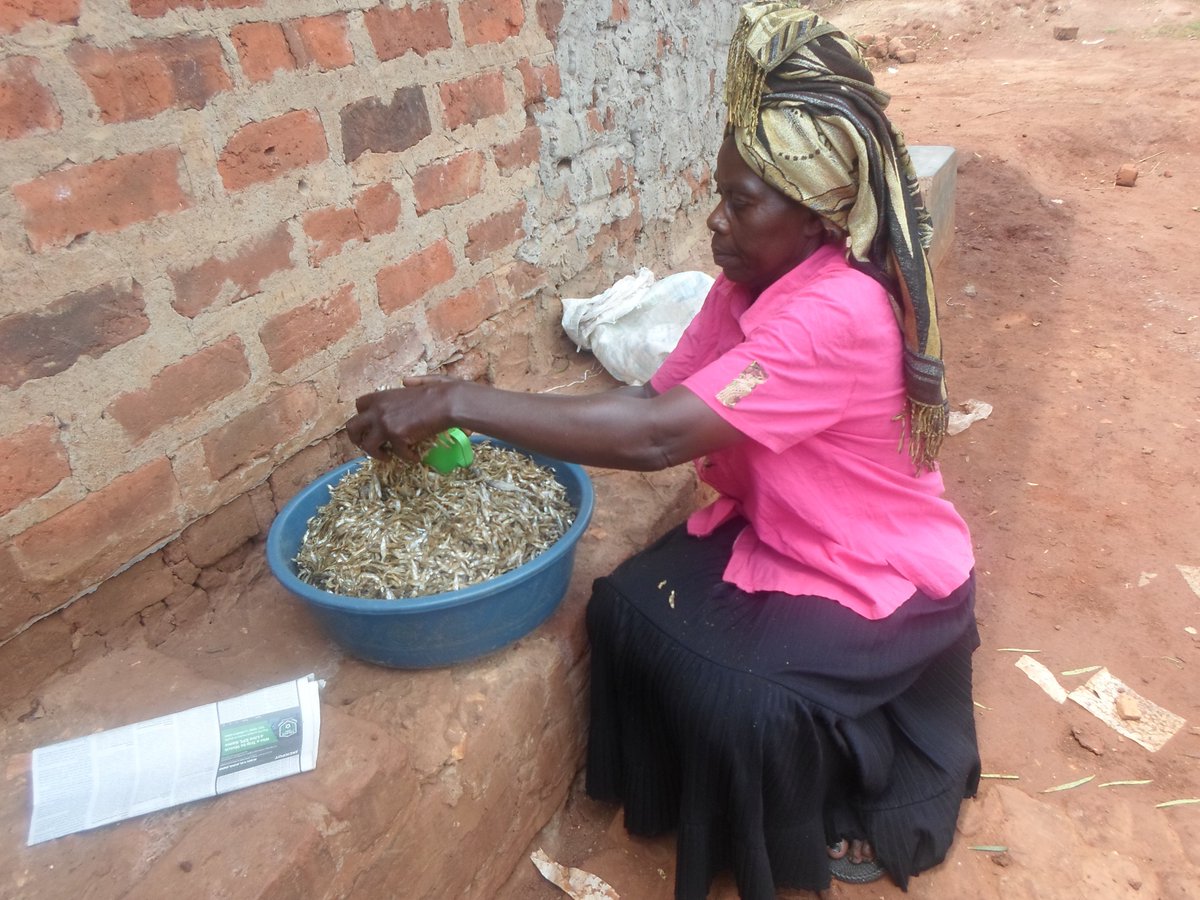WidowsCenter's tweet photo. A widow just received a #smalloan, it is a life changing #widowscenterinternational #sustainmicroenterprise https://t.co/CLL1vbSgbM