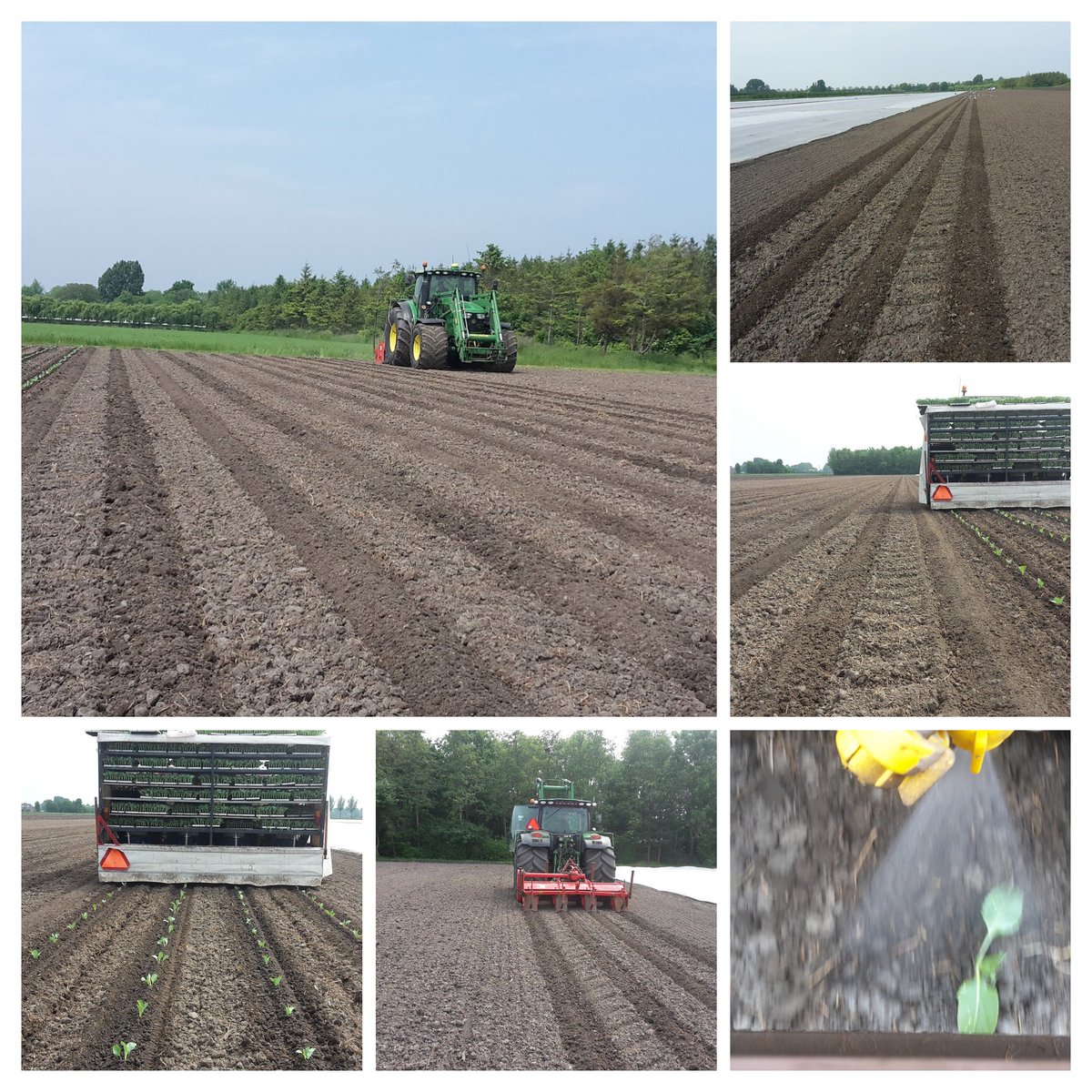 Deze week een proef gedaan met de strokenfrees #duurzaam #innovatief