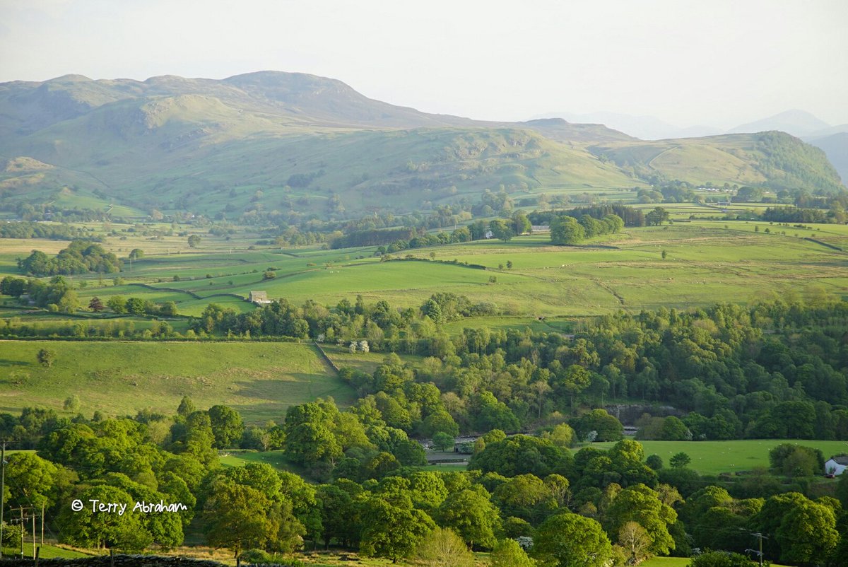 Gill Head Farm (gillheadfarm) Twitter