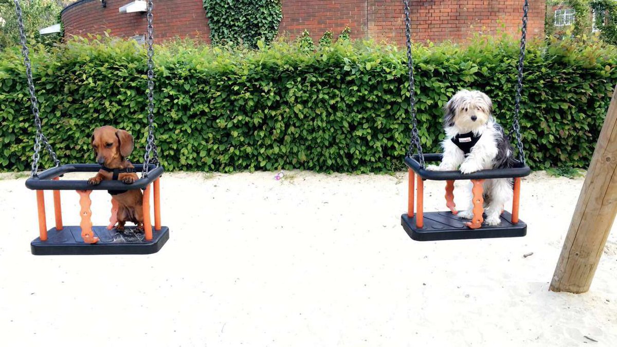 Meanwhile, back in London.