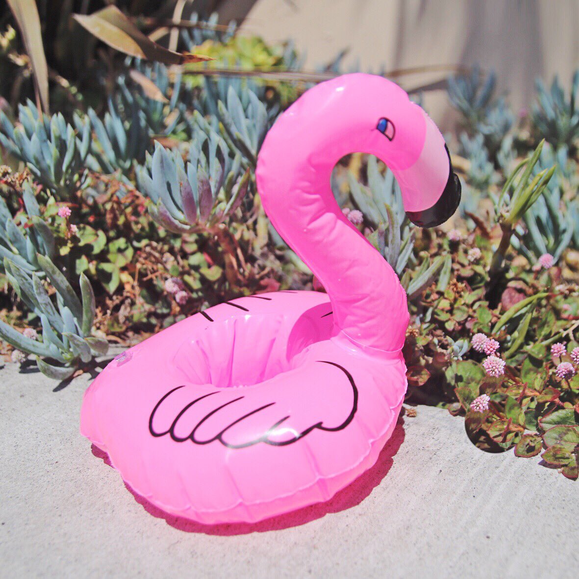 ThePartyEdit's tweet photo. Inflatable flamingo out in the wild #etsy #flamingo #party https://t.co/caTQir3rWS