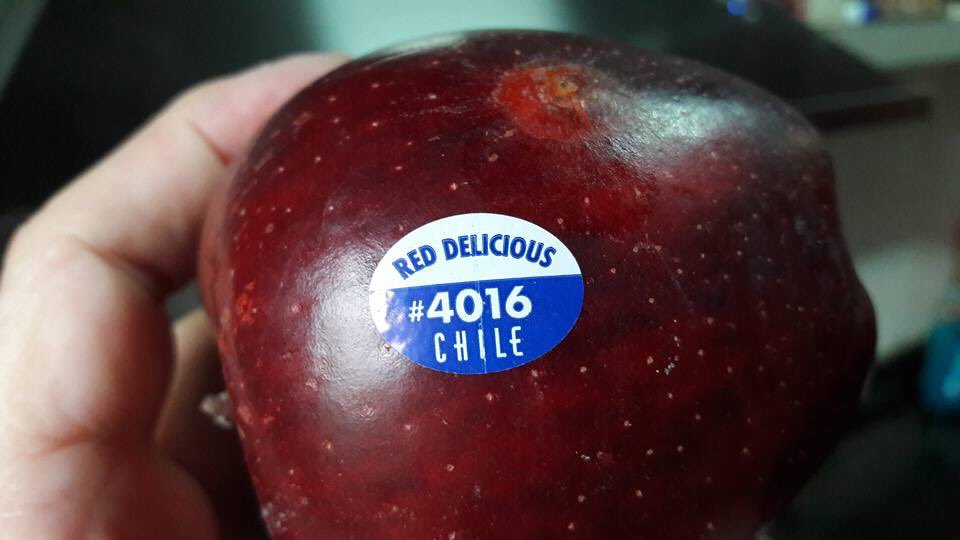 flordelestero's tweet photo. Manzanas Chilenas en Coto, y los productores del Alto Valle c subas de costos del 70%. #MacriLoHizo  @corchomartini https://t.co/sr8lgAYxaC