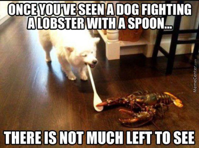 Lobster bar tweet media