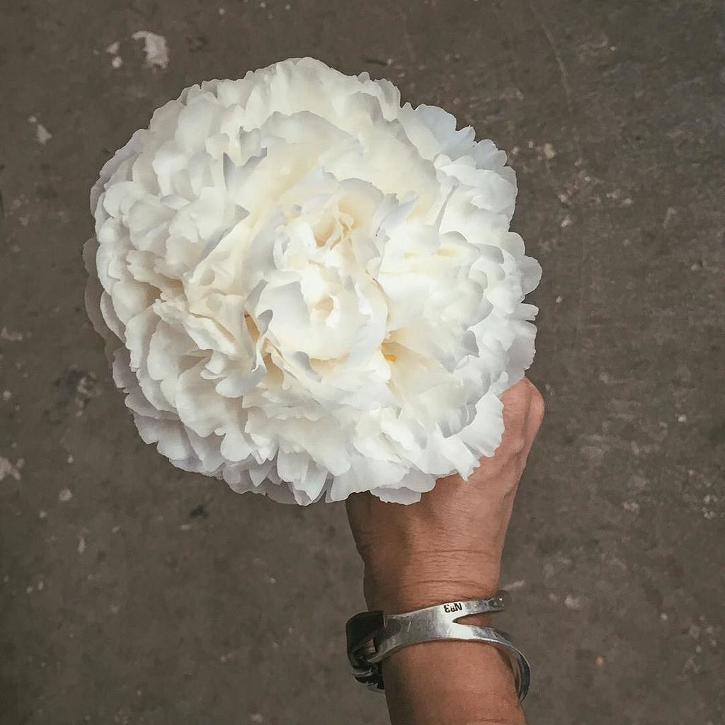 White Peony at it's best! Happy Memorial Day Weekend! ift.tt/1VnmCIH