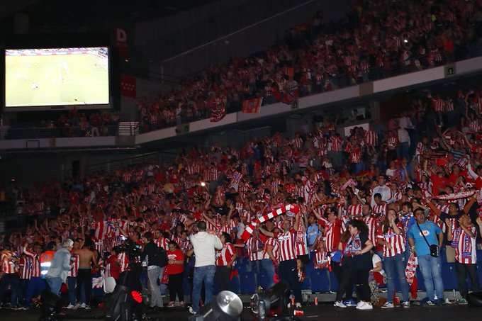 View image on Twitter