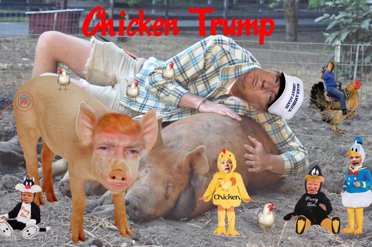 erikjburch's tweet photo. #ChickenTrump #ChickenHillary  #BernieOrBust #SandersTrumpDebateNames #BernieTrumpDebate #DropOutHillary #Bernie https://t.co/1rfazp8KDy