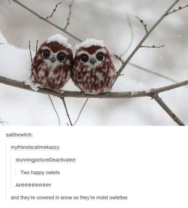 People like THIS need to stop !! 👿👿