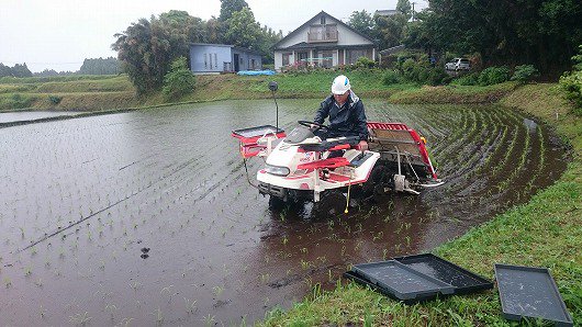 のんびり暮らす