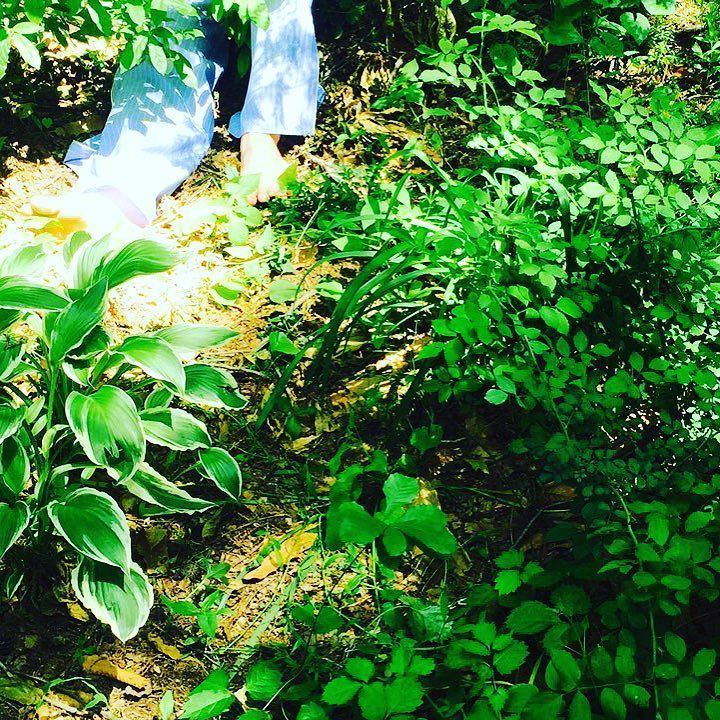Eundy3's tweet photo. 🌿☘🍃🍀🌱 by oohsehun https://t.co/O3QXLTey8O