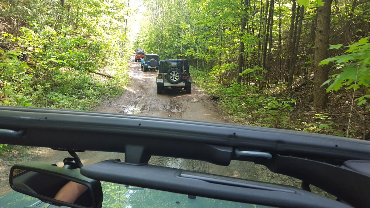 Anne Sousa tweet media