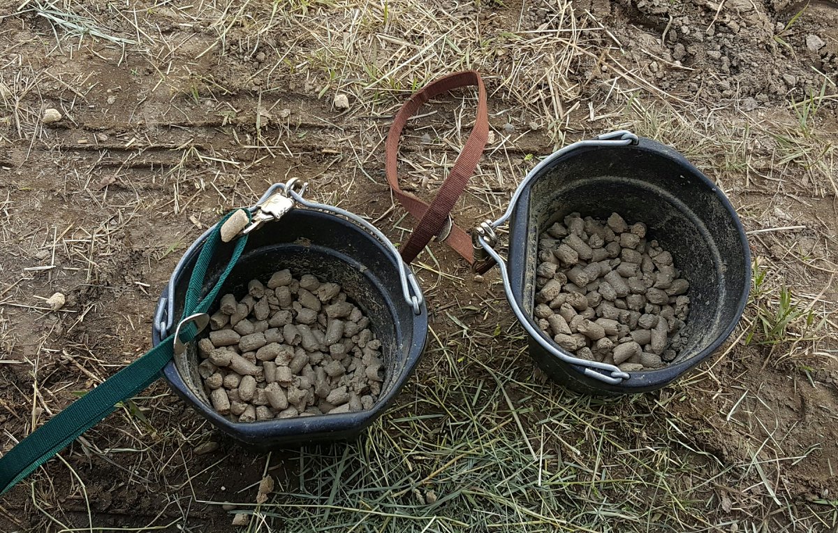 Hay Saver is an Ass Saver 
<a href="/HoffmansHorse/">Hoffmans Horse Prod</a> <a href="/CJFeeds/">CountryJunctionFeeds</a>