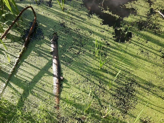 U know, we have near 6 month of winter in this region of RU, so May is the just a start of spring &amp; sunny