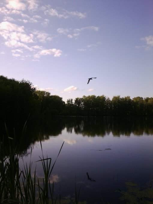 Just imagine..silece, first bird's twitts, moscitoes, drugonflyes around, frogs's songs, the sunset here)