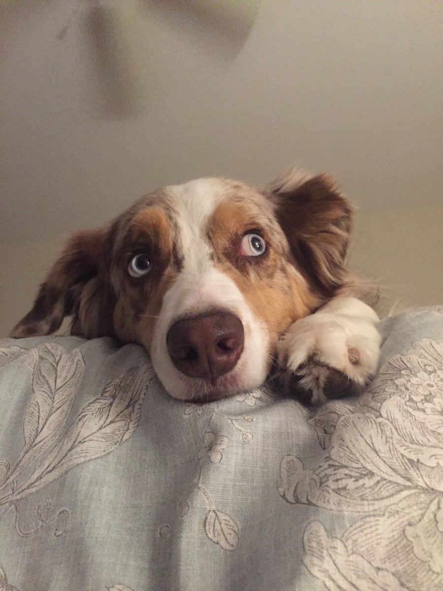 Merrittb6's tweet image. Schuler #hatesummer misses #winter @ShareALittleSun @VisitCentralFL @celebrationtown #lovefl