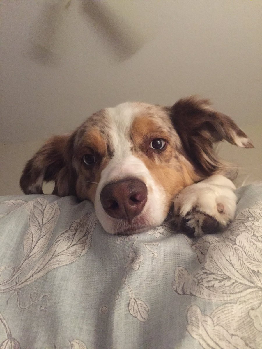 Merrittb6's tweet image. Schuler #hatesummer misses #winter @ShareALittleSun @VisitCentralFL @celebrationtown #lovefl