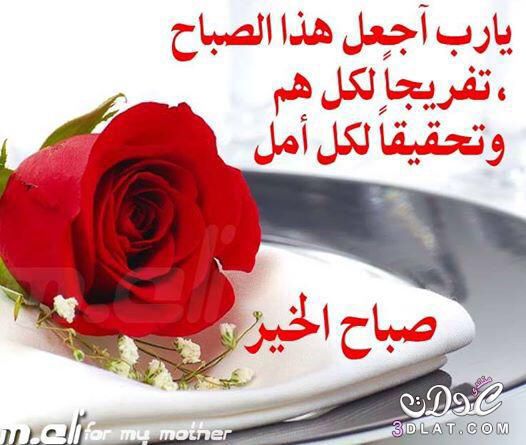 hajar_sultan's tweet photo. https://t.co/21GxPw64yO