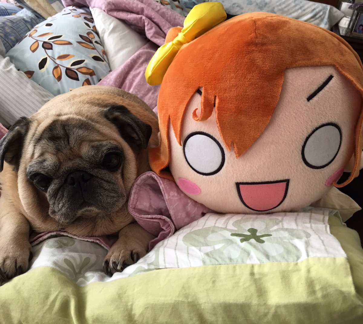 pagzy0723's tweet photo. Someone likes me 💕💕💕 https://t.co/TAfwIiZOkj