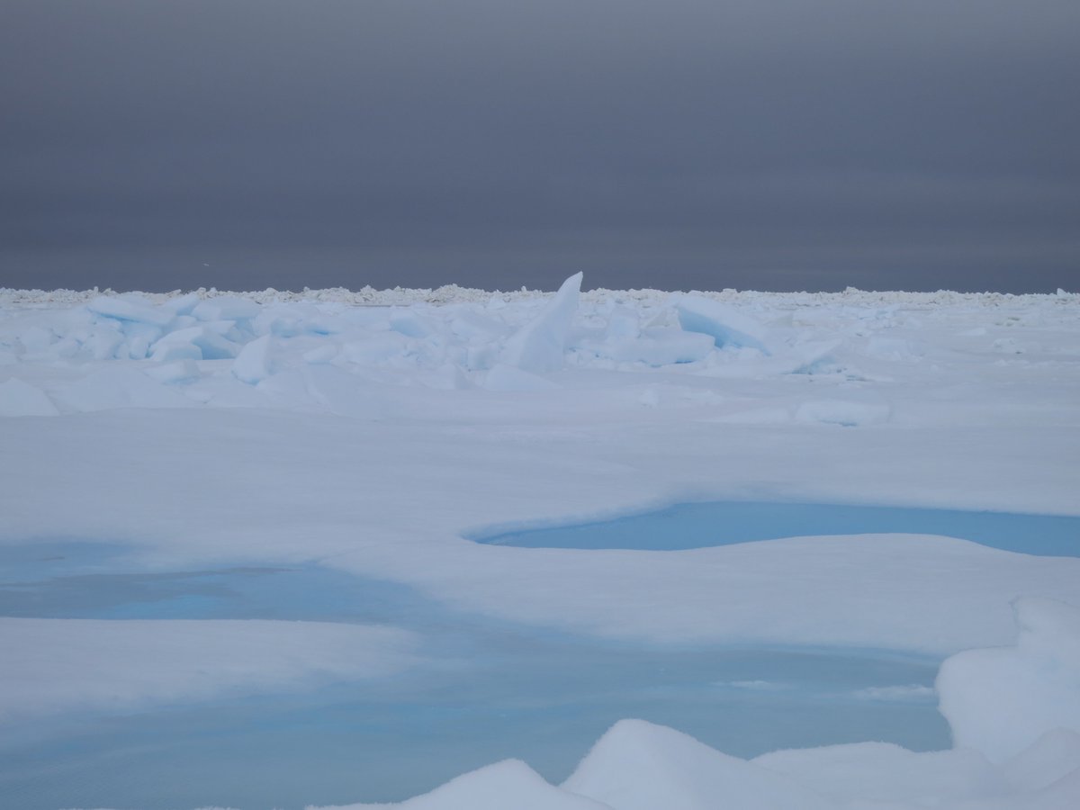 Melt conditions underway near Pt. Barrow, AK. Water sky indicates open water near by. #seaicecamp2016