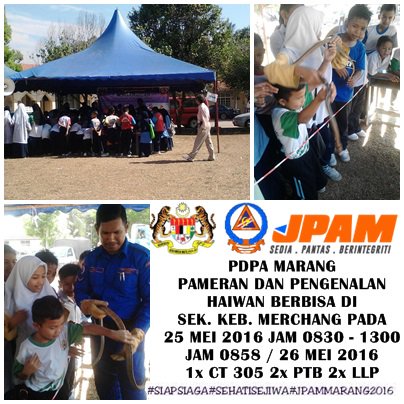 Jpam Daerah Marang En Twitter Pameran Dan Pengenalan Haiwan Berbisa Di Sek Keb Merchang Jpamganu Jpamtwiter