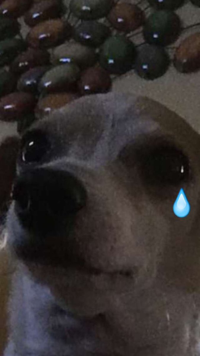 amandalemus7's tweet image. #riphashtags