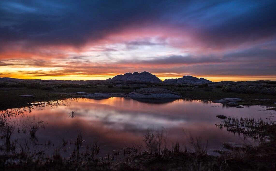 welcometo_KZ's tweet photo. #WelcomeToKZ Altyn-Emel national park. Photo by Constantine Kikvidze #UndiscoveredKazakhstan #Kazakhstan https://t.co/tNJF0Kp8XC